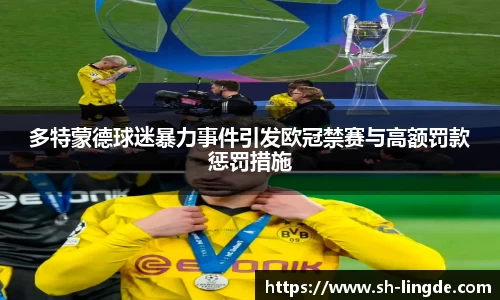 多特蒙德球迷暴力事件引发欧冠禁赛与高额罚款惩罚措施