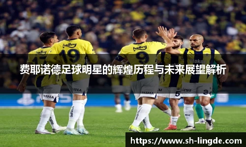费耶诺德足球明星的辉煌历程与未来展望解析